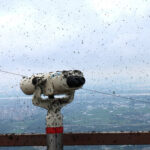 Lovebugs Swarm South Korea’s Capital, Drawing Residents’ Ire